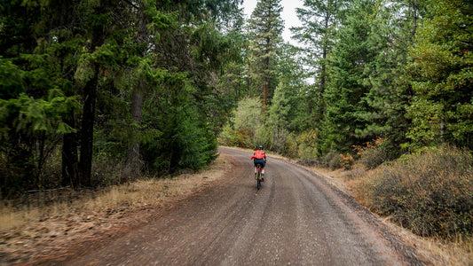 Gravel bike