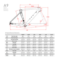 Disque de frein AERO A9 (SHIMANO R8020)